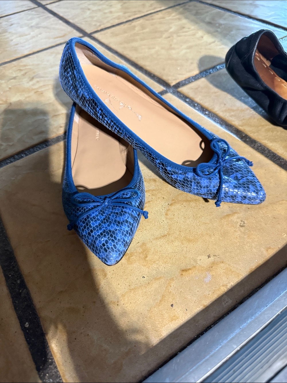 Banana Republic Blue Pointed Toe Snake-Print Ballet Flats